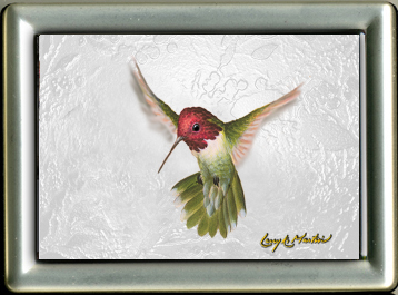 Anna's Hummingbird, framed mini giclee