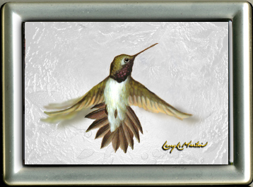 Black Throated Hummingbird framed mini giclee 