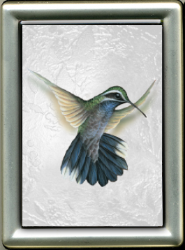 Blue Throated Hummingbird framed mini giclee