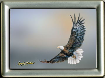 Eagle_Seascape_framed mini giclee