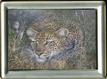 Leopard "Sound of Silence"