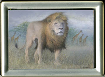 Lion "Approaching Reign"
