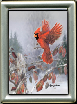 "Snow Bird" Male Cardinal