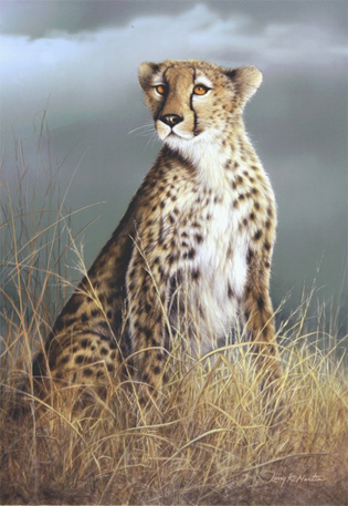 "Amber Express" cheetah by American wildlife artist Larry K. Martin
