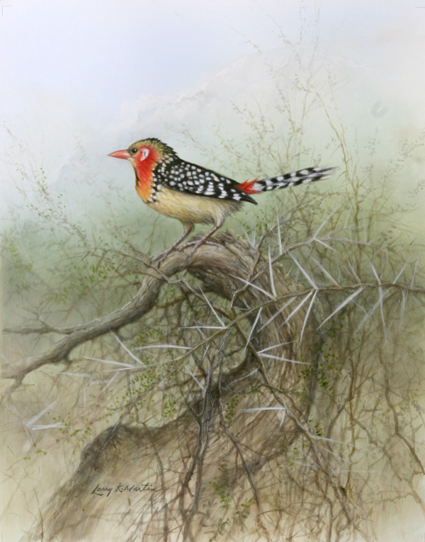 "Red and Yellow Barbet" by American wildlife artist Larry K. Martin