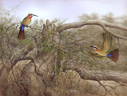 whitefronted beeeaters by American wildlife artist Larry K. Martin